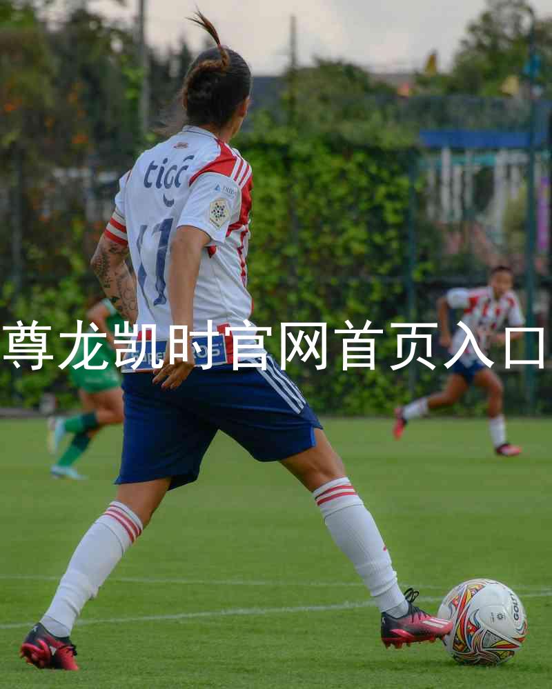 尊龙凯时官网首页入口